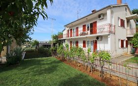 Apartments Franjo Near Center